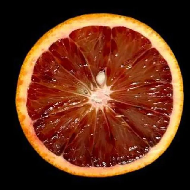 thumbnail for publication: Postharvest Anthocyanin Enhancement in Blood Orange Fruit